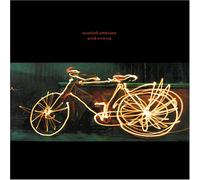 Marshall Crenshaw - Good Evening