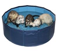 Marshall Ferret 24" Swimming Pool