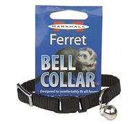 Marshall Ferret Bell Collar, Black