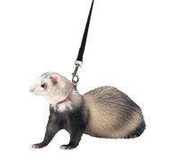Marshall Ferret Harness and Lead, Black
