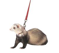 Marshall Ferret Harness and Lead, Red