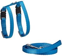 Marshall Pet Products 571706 Ferret Harness & Lead Royal Blue, 48 in