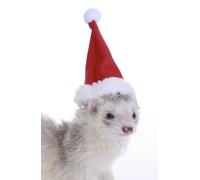 Marshall Pet Santa Hat for Ferrets and Small Animals