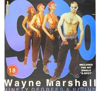 Marshall Wayne - Ninety Degrees And Rising