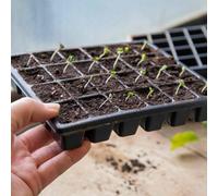 Marshalls Garden 12 X 24-Cell Seed Trays, Black Reusable Plastic Fits Propagator