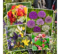 Marshalls Garden All Summer Long 100 Flower Bulb Mix - Mixed Summer-Flowering Perennials