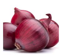 Marshalls Garden Autumn Planting Onion Sets 'electric' - Overwintering Red Onions, Approx 65-75 Sets