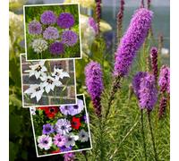 Marshalls Garden Bees & Butterfly Happy Collection, Pollinator-Friendly Mixed Flower Pack Of 40 Bulbs And Bare Root
