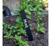 Marshalls Garden Black Plastic Plant Labels Pack Of 25 8In/20Cm