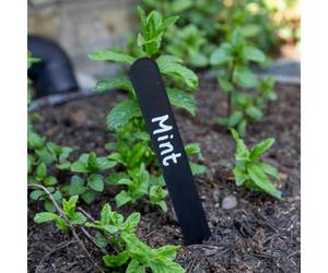 Marshalls Garden Black Plastic Plant Labels Pack Of 25 8In/20Cm