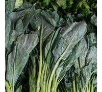 Marshalls Garden Chinese Broccoli (Kailaan) Seeds - 220 Vegetable Seeds, Fast-Growing, Tender Stems And Leaves