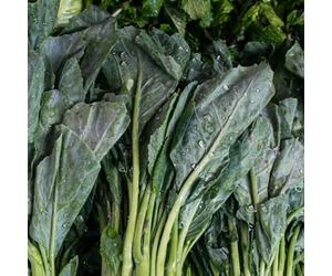 Marshalls Garden Chinese Broccoli (Kailaan) Seeds - 220 Vegetable Seeds, Fast-Growing, Tender Stems And Leaves