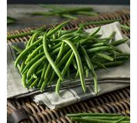 Marshalls Garden Climbing French Bean Seeds 'monte Cristo' High-Yield Tender Pods 50 Seeds