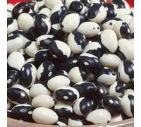 Marshalls Garden Dwarf French Bean Seeds Yin Yang - Compact High-Yield Patio Variety 80 Seeds