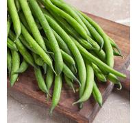 Marshalls Garden French Bean Dwarf 'modesto' Seeds, 75 Per Pack, Compact Patio Variety