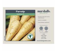 Marshalls Garden Gladiator F1 Parsnip Seeds - Pack Of 3 - Disease Resistant Hybrid, Smooth White Sweet Roots, Sow Feb-May