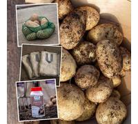 Marshalls Garden Maris Peer Seed Potato Grow Kit 1Kg For Containers And Small Gardens