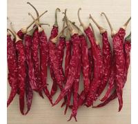 Marshalls Garden Mirch Masala Chilli Pepper Seeds - 10 Pack