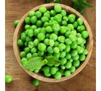 Marshalls Garden Pea Seeds 'prelado' Early, High-Yield Disease-Resistant Vegetable Seeds 1G
