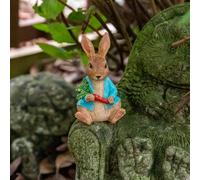 Marshalls Garden Peter Rabbit Cane Companion Topper Licensed Beatrix Potter Garden Ornament