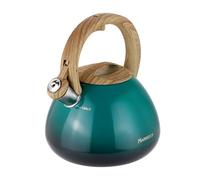 MARSKITOP Tea Kettle Teapot for Stovetop, 2.6 Quart Stainless Steel Tea Pot for Stove, Stove Top Whistling Tea Kettle with Anti-Hot Handle, Suitable for All Heat Sources, Green