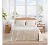 Martha Stewart - Cotton Percale Queen Sheet Set with Pillowcases