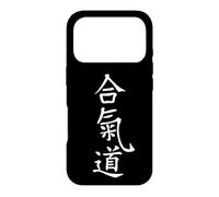 Martial Arts Aikido Kanji Writing Chinese Characters Case for iPhone 17 Pro