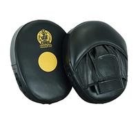 Martial Arts Deluxe Choi Kwang Do Leather Focus Pads