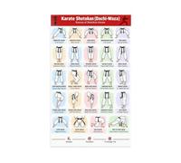 Martial Arts Education Poster for After School Program Youth Class | Age appropriate visual helping young students remember proper form for each basic stance(Magnetic,08x12inch(20x30cm))