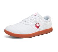 Martial Arts Shoes Men Adults Tai Chi Wu Shu Kung Fu Shoes Lightweight Taekwondo Leather Kung Fu Tai chi Footwear for Daily Exercises Training(Size:41(25.5cm),Color:C)