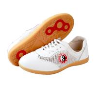 Martial Arts Shoes Tai Chi Wu Shu Kung Fu Shoes for Men Adults Lightweight Taekwondo Leather Kung Fu Tai chi Footwear for Daily Exercises Training(Size:35(22.5cm),Color:White)