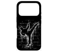 Martial Street Art Fighter Side-Kick Roundhouse TaeKwonDo Case for iPhone 17 Pro