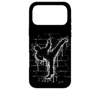 Martial Street Art Fighter Side-Kick Roundhouse TaeKwonDo Case for iPhone 17 Pro Max