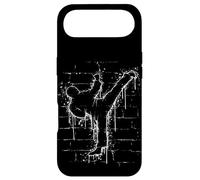 Martial Street Art Fighter Side-Kick Roundhouse TaeKwonDo Case for iPhone Air