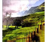 Martin Archer & Bo Meson - Echoic Enchantment