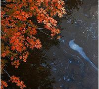 Martin Archer & Engine Room Favourites - Bad Tidings From Slackwater Drag