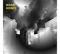 Martin Archer, John Jasnoch, Sarah Farmer & Lee Boyd Allatson - Wasp Honey