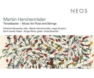 Martin Herchenr Martin Herchenröder: Terzattacke: Music for Flu (CD) (US IMPORT)