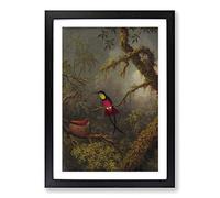 Martin Johnson Heade Bird Framed Print | A2 Black Framed Wall Art | Ready to Hang | Modern Nature Picture | Living Room Bedroom Lounge Office