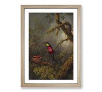 Martin Johnson Heade Bird Framed Print | A2 Oak Framed Wall Art | Ready to Hang | Modern Nature Picture | Living Room Bedroom Lounge Office