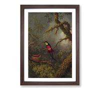 Martin Johnson Heade Bird Framed Print | A2 Walnut Framed Wall Art | Ready to Hang | Modern Nature Picture | Living Room Bedroom Lounge Office