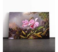 Martin Johnson Heade Orchid Study Canvas Print | Gallery Wrapped 30mm Frame Wall Art | 30x20 inches | Ready to Hang | Modern Floral Picture | Living Room Bedroom Lounge Office