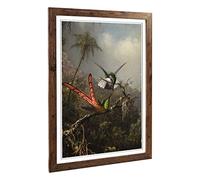 Martin Johnson Heade Orchid with Two Hummingbirds Framed Print A2 Walnut