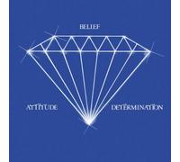 Private Wax 12" Series Vol. 2 compiled by Zafsmusic: Attitude, Belief and Determination / Nonstop To The Top [VINYL]