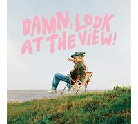 Martin Luke Brown - Damn, Look At The View [VINYL]