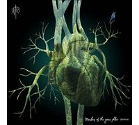 Martin Rubashov - Members Of The Green Phlox (LP) [VINYL]