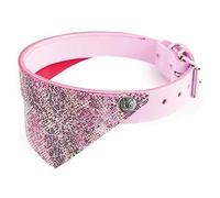 Martin Sellier Full Grain Leather Dog Collar with Bandana