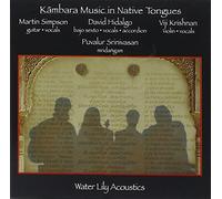 Martin Simpson, David Hidalgo, Viji Krishnan And Puvalur Srinivasan - Kambara Music In Native Tongue