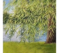 Martin Simpson & Thomm Jutz - Nothing But Green Willow: The Songs Of Mary Sands And Jane Gentry