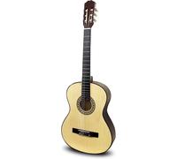 Martin Smith Acoustic Guitar W-590-N Classical Acoustic Guitar Nylon Strings
